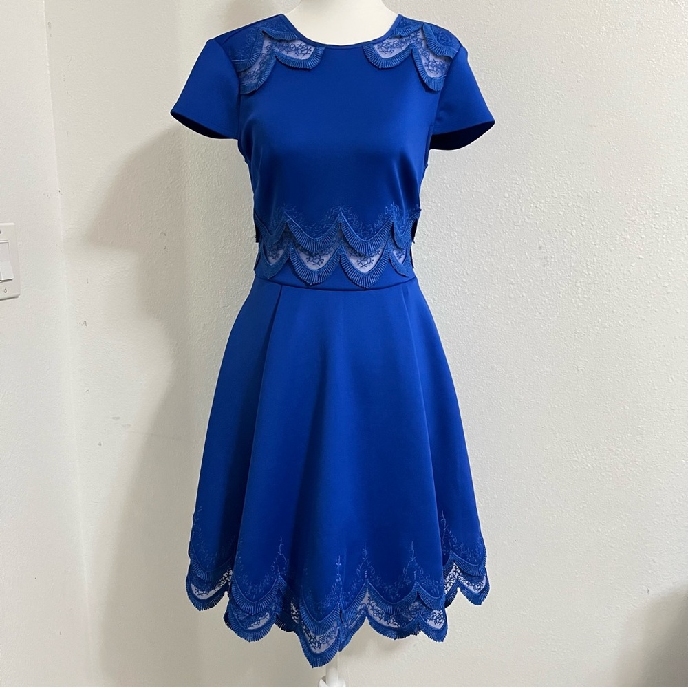 Ted Baker Rehanna blue embroidered skater mini dress